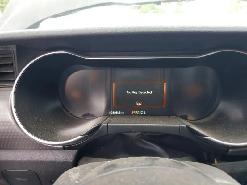 2019 FORD MUSTANG GT  