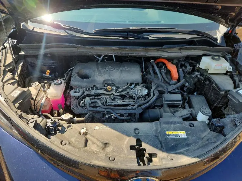 2025 TOYOTA SIENNA LE  