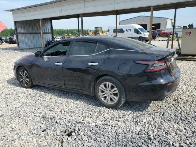 2019 NISSAN MAXIMA S  