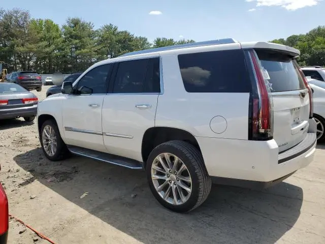 2019 CADILLAC ESCALADE LUXURY  