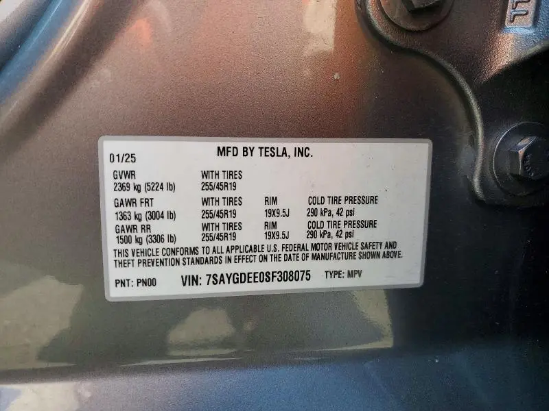 2025 TESLA MODEL Y   