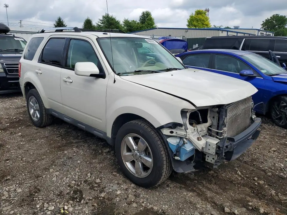 2010 FORD ESCAPE LIMITED  