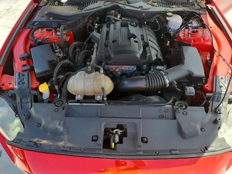 2019 FORD MUSTANG   
