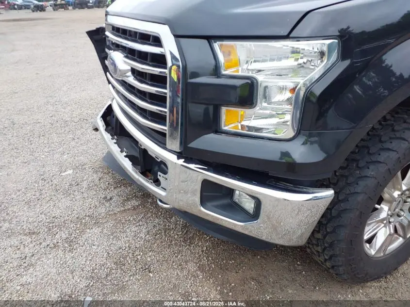 2015 FORD F-150 XLT