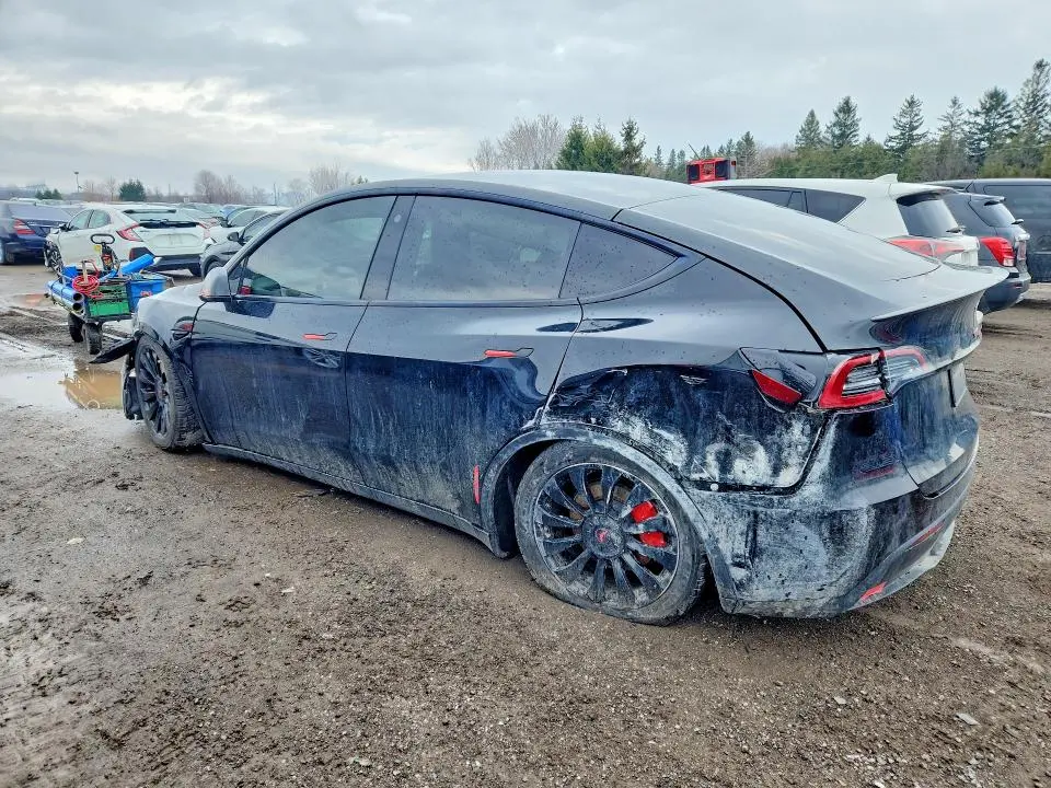 2022 TESLA MODEL Y   