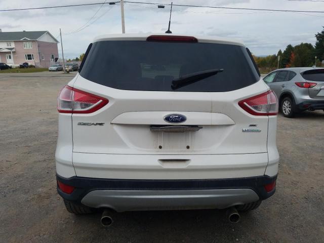 2013 FORD ESCAPE SE