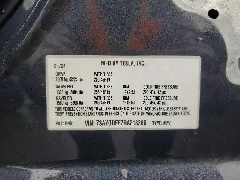 2024 TESLA MODEL Y   