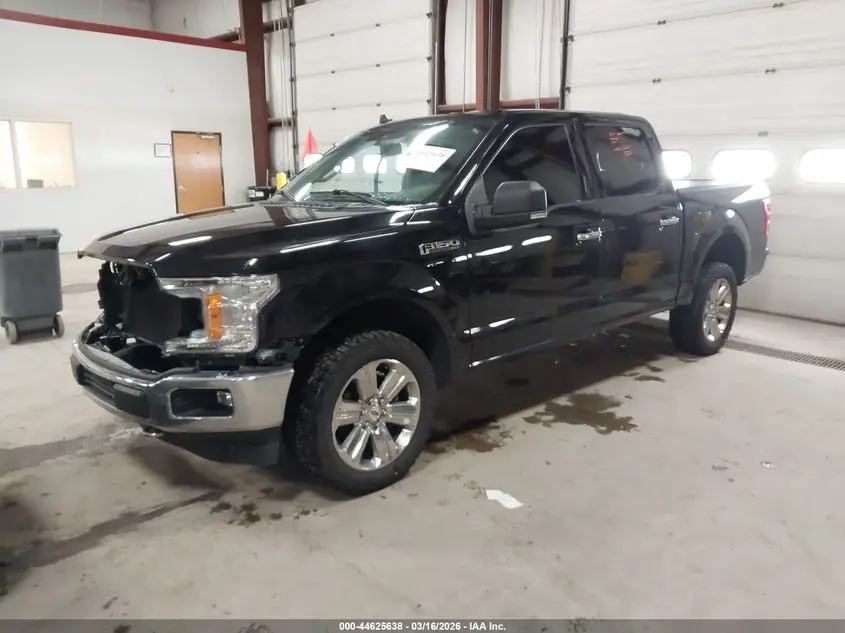 2019 FORD F-150 XLT