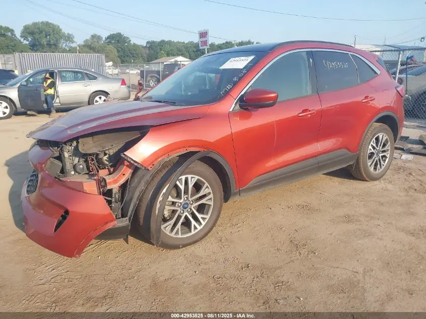 2020 FORD ESCAPE SEL