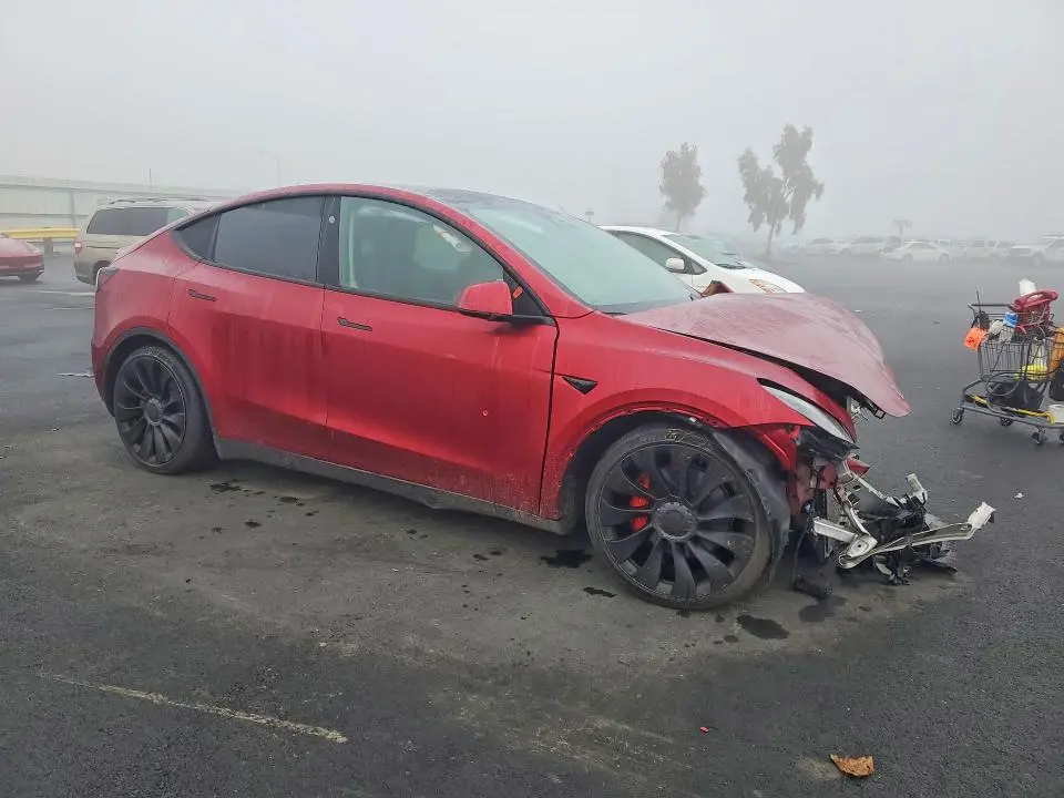 2024 TESLA MODEL Y   