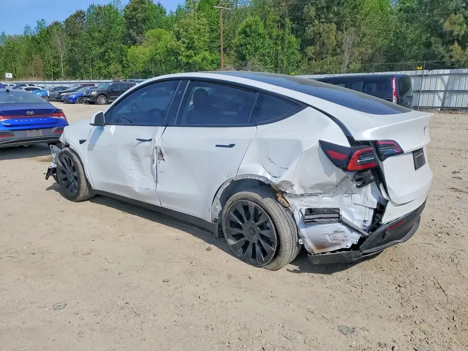 2024 TESLA MODEL Y   