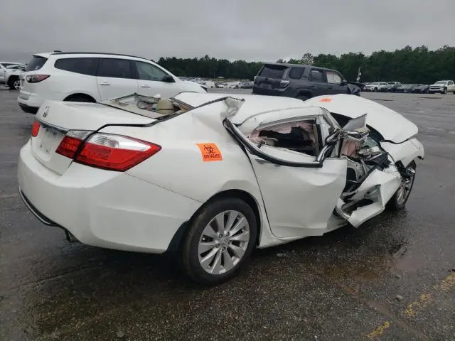 2013 HONDA ACCORD EXL  