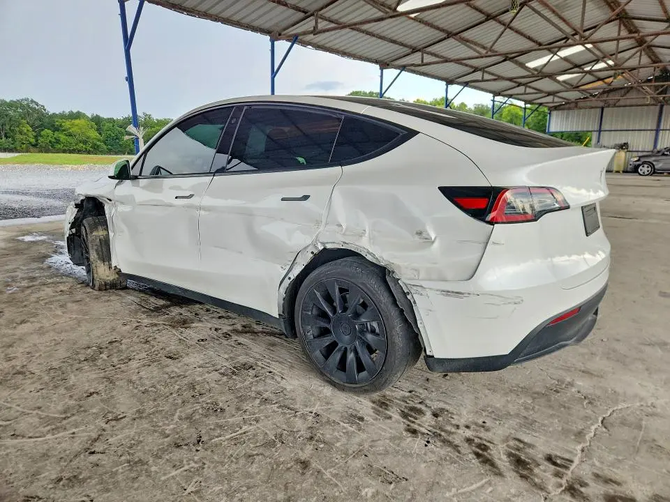 2022 TESLA MODEL Y   