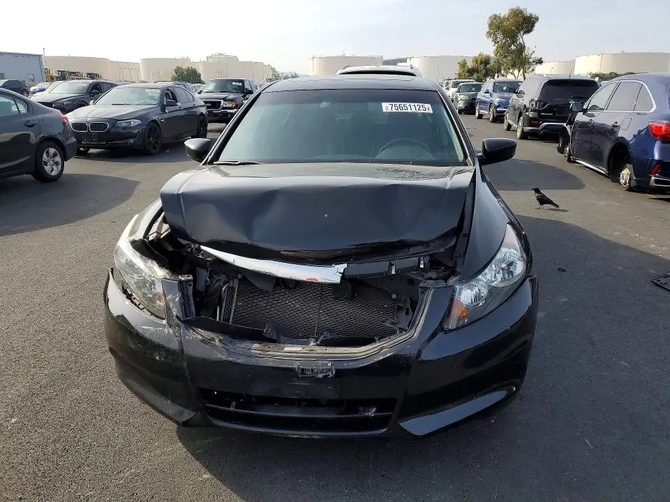 2011 HONDA ACCORD EXL  