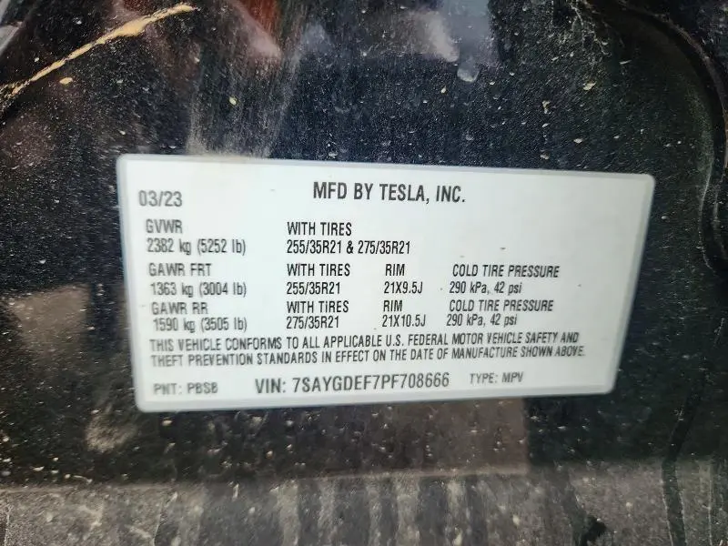 2023 TESLA MODEL Y   