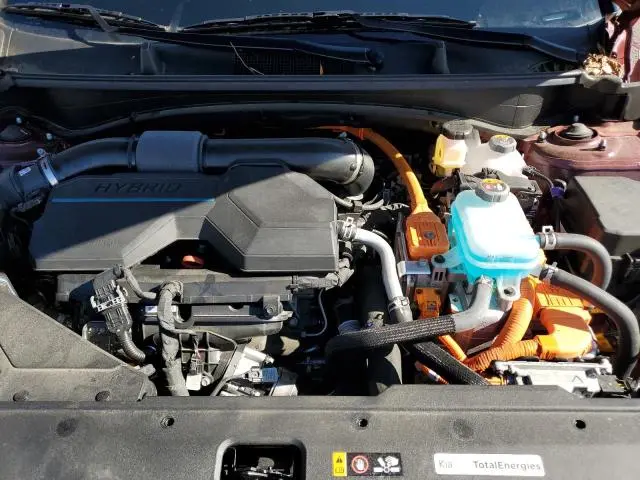 2024 KIA SPORTAGE X LINE  