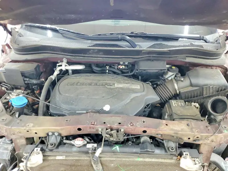 2019 HONDA PILOT EXL  