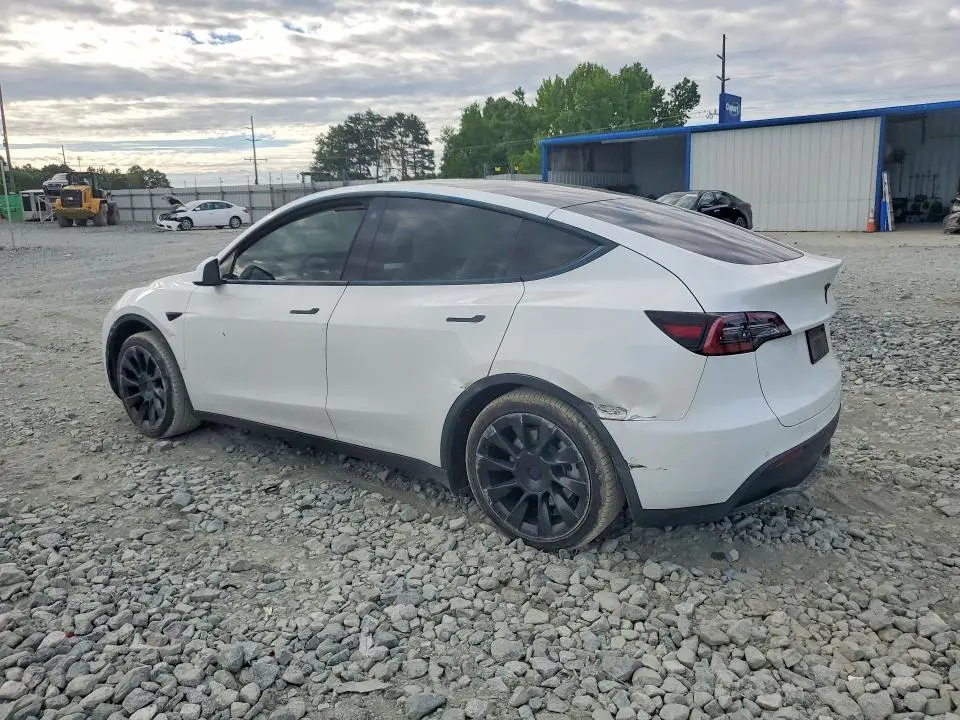 2021 TESLA MODEL Y   