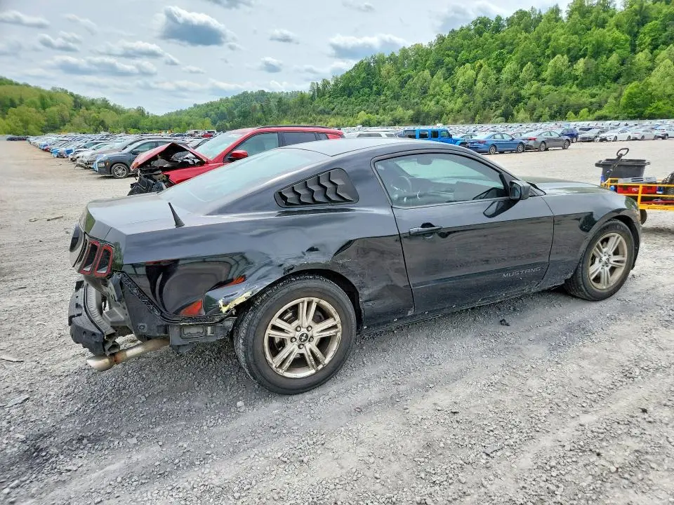 2014 FORD MUSTANG   