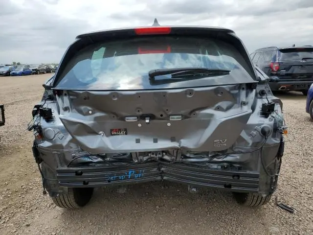 2025 NISSAN LEAF SV PLUS  