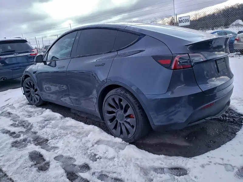 2023 TESLA MODEL Y   
