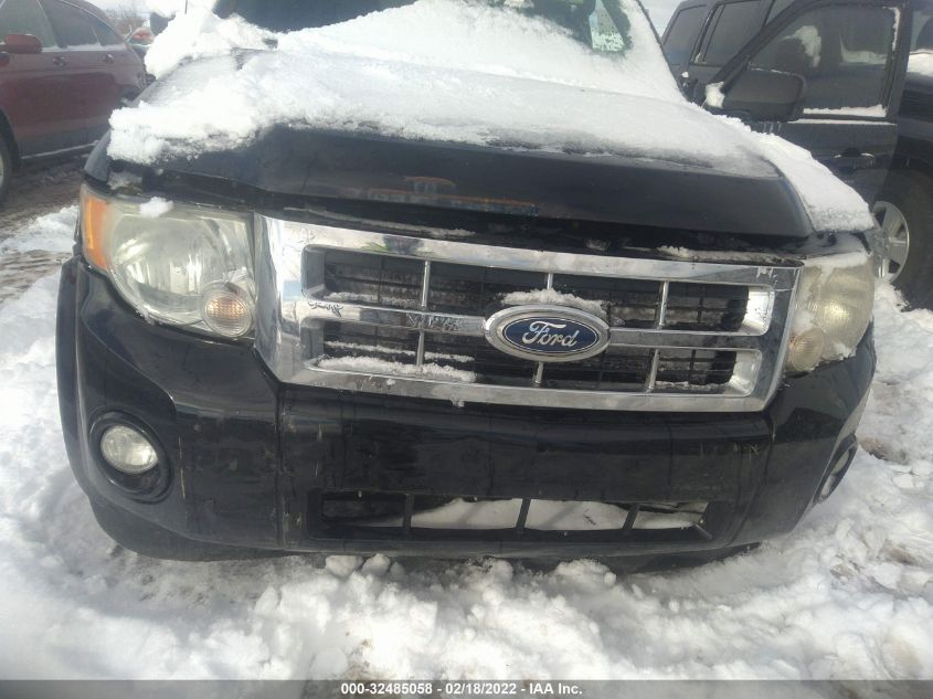 2010 FORD ESCAPE XLT