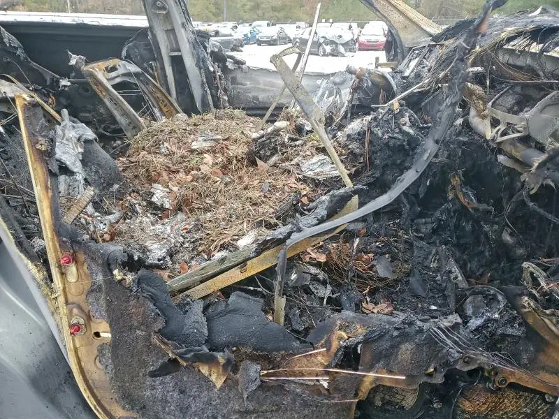 2010 MERCEDES-BENZ S 550  