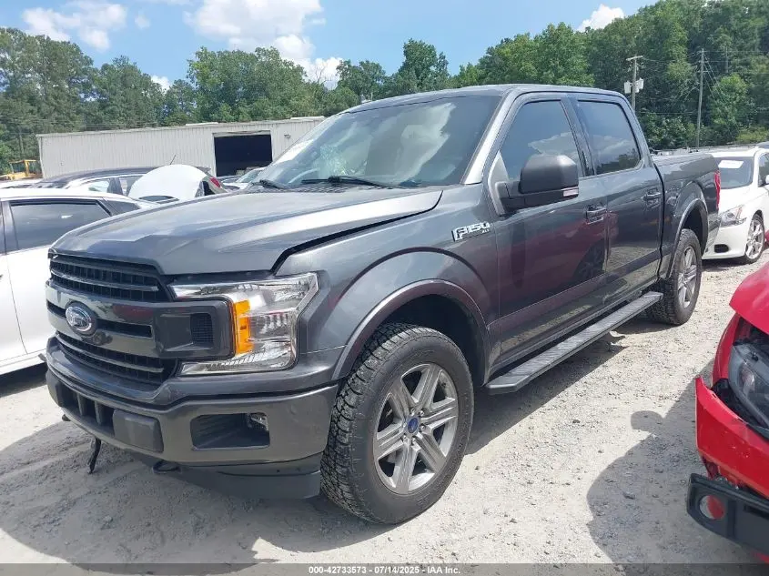 2019 FORD F-150 XLT