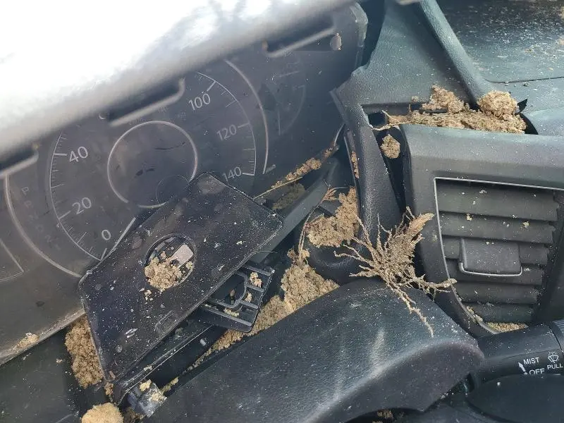 2014 HONDA CR-V EX  