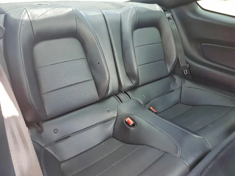 2019 FORD MUSTANG   