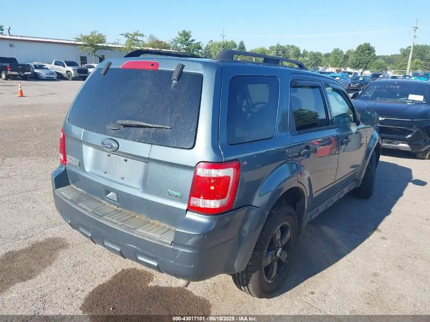 2011 FORD ESCAPE XLT