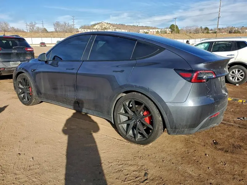 2022 TESLA MODEL Y   