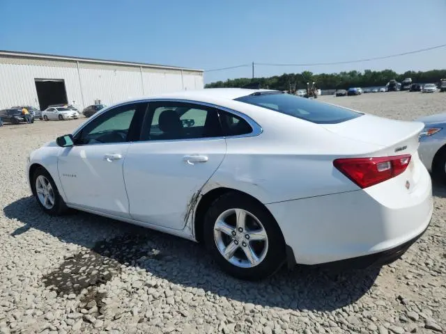 2019 CHEVROLET MALIBU LS  