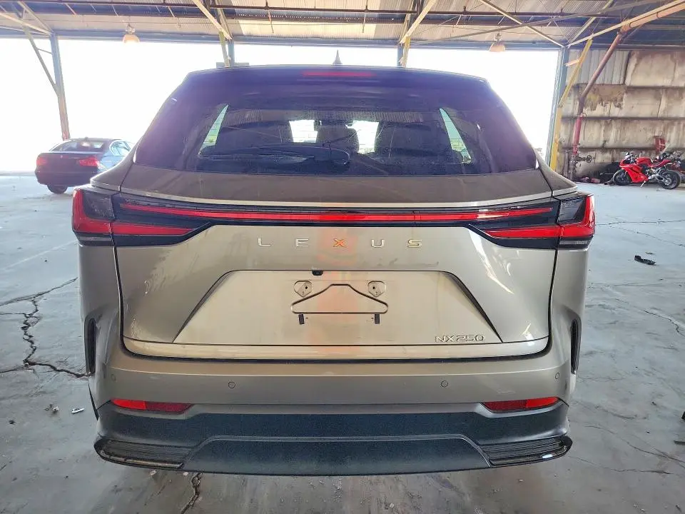 2025 LEXUS NX   