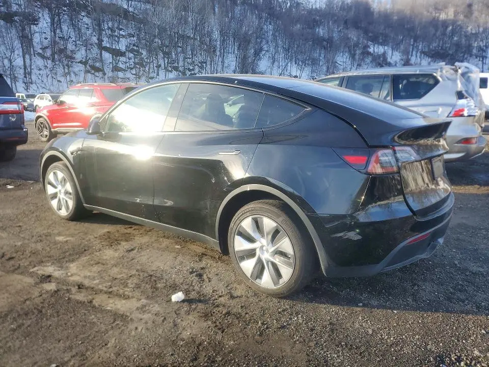 2024 TESLA MODEL Y   