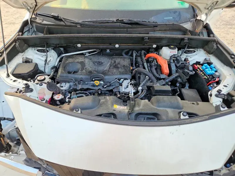 2021 TOYOTA VENZA XLE  