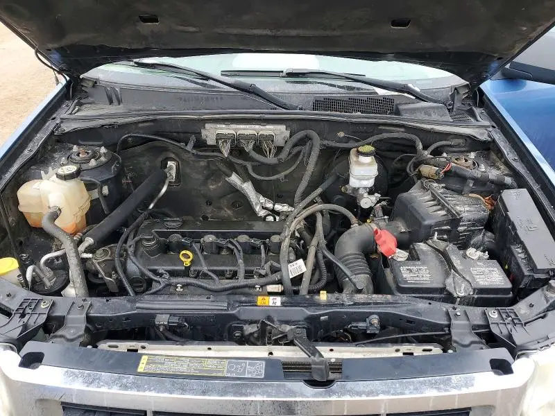 2010 FORD ESCAPE XLT  