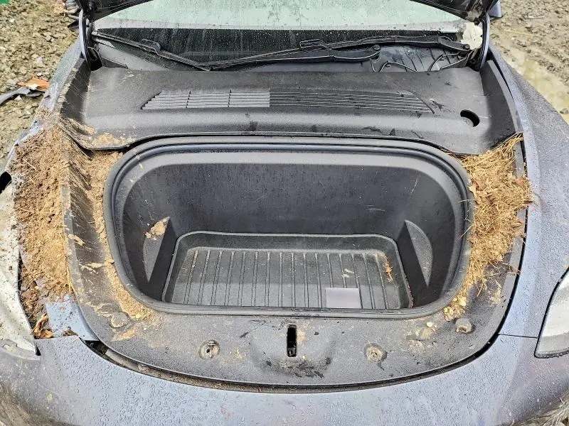 2020 TESLA MODEL Y   