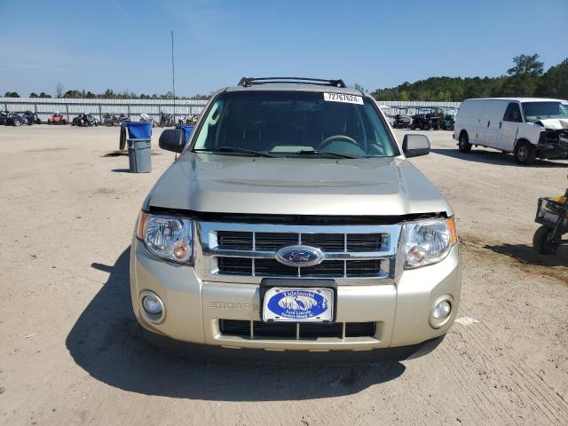 2010 FORD ESCAPE XLT