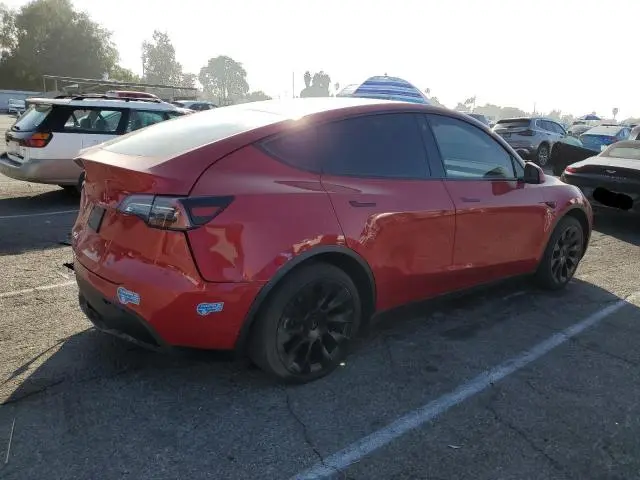 2021 TESLA MODEL Y   