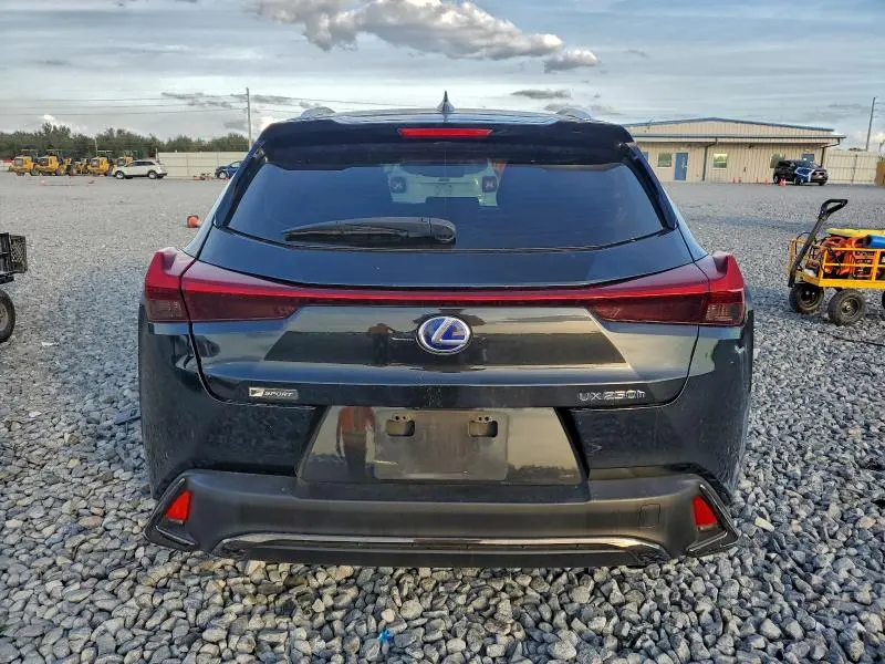 2019 LEXUS UX 250H  
