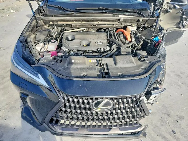 2024 LEXUS NX 350H LUXURY  