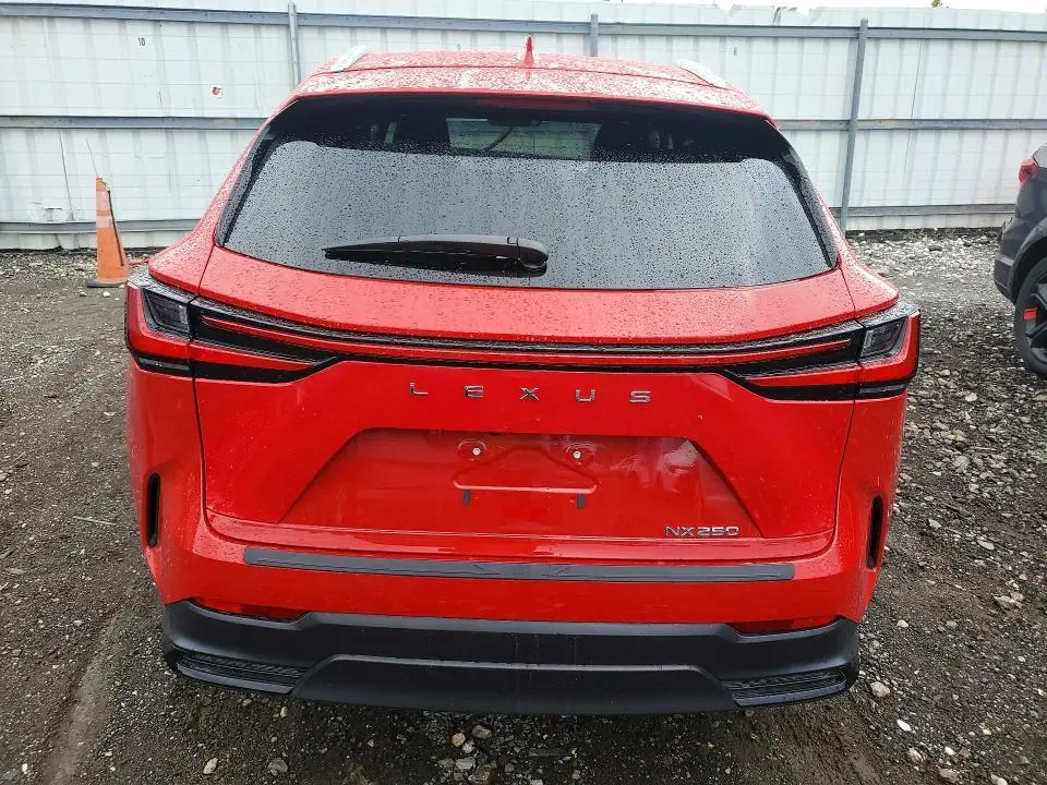 2024 LEXUS NX 250 BASE  