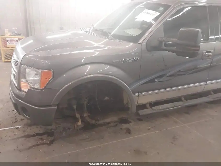 2010 FORD F-150 FX4/HARLEY-DAVIDSON/KING RANCH/LARIAT/PLATINUM/XL/XLT