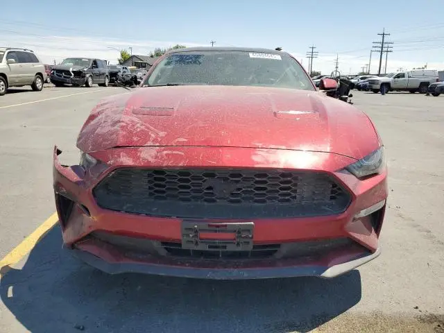2019 FORD MUSTANG   