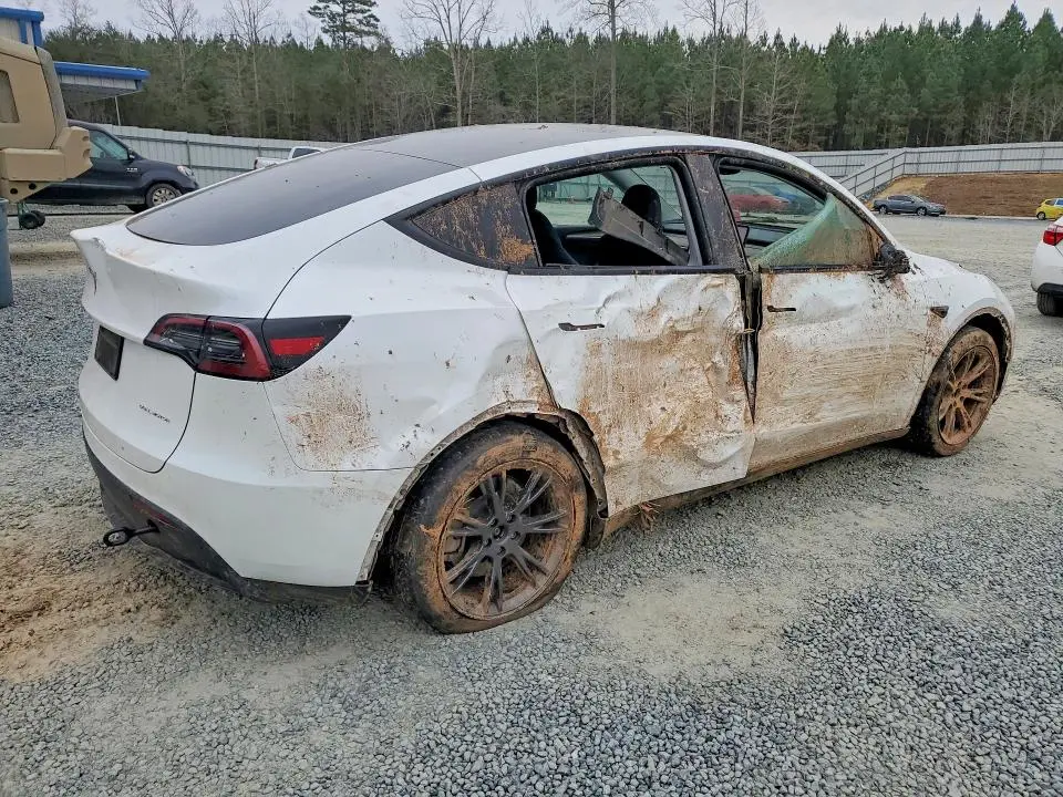 2024 TESLA MODEL Y   