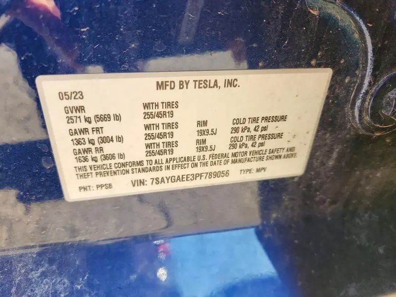 2023 TESLA MODEL Y   