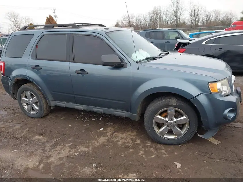 2011 FORD ESCAPE XLT