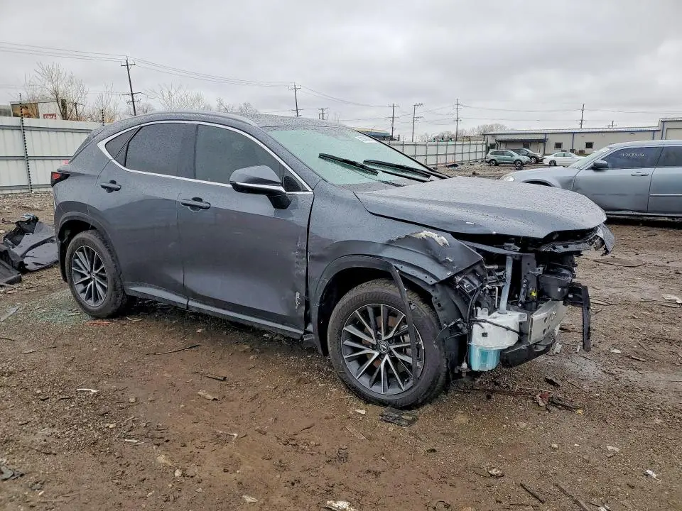 2024 LEXUS NX   