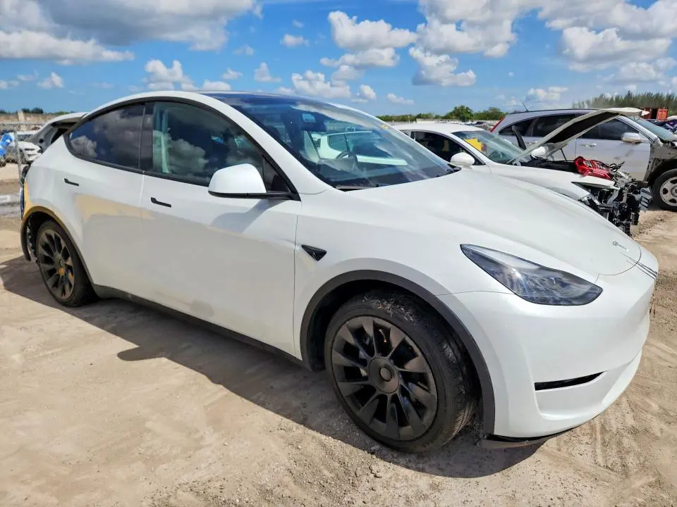 2024 TESLA MODEL Y   